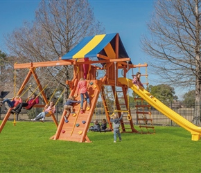 Tree Frogs Wooden Swing Set Factory