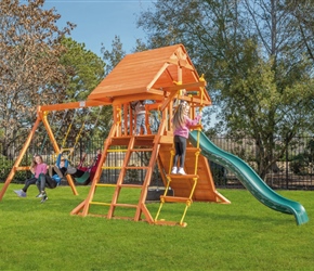 Tree Frogs Wooden Swing Set Factory