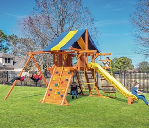 Tree Frogs Wooden Swing Set Factory